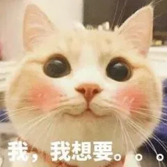 我想要（我想要）