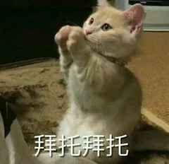 拜托湃托（拜托湃托）