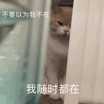 不要以为我不在，我随时都在（不要以为我不在，我随时都在）