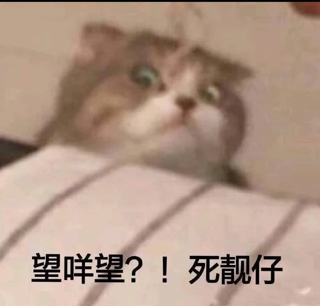 一毁望咩望？！死靓仔（一毁望咩望？！死靓仔）