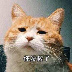 你没救了（你没救了）