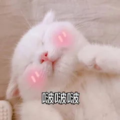 啵啵（啵啵）