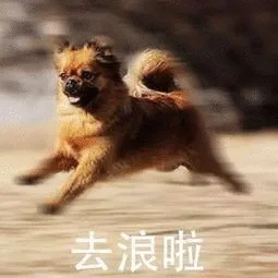 去浪啦（去浪啦）