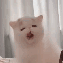 打哈欠（打哈欠）