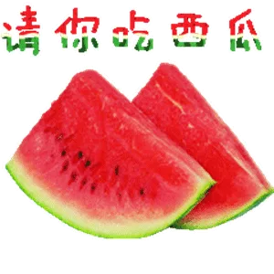 请你吃西瓜（请你吃西瓜）