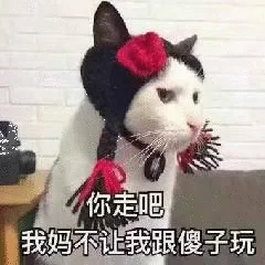 你走吧我妈不让我跟傻子玩（你走吧我妈不让我跟傻子玩）