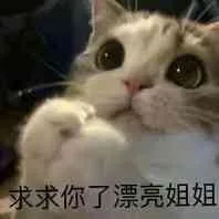 求求你了，漂亮姐姐（求求你了，漂亮姐姐）