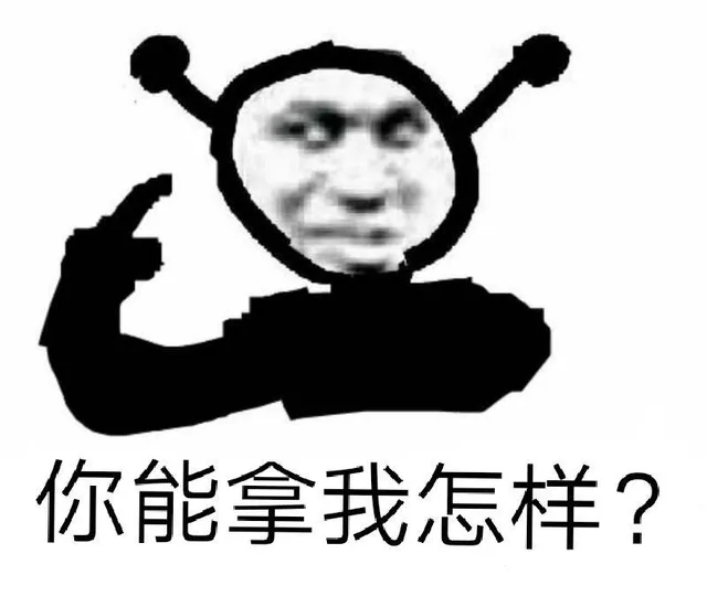 你能拿我怎样？（你能拿我怎样？）