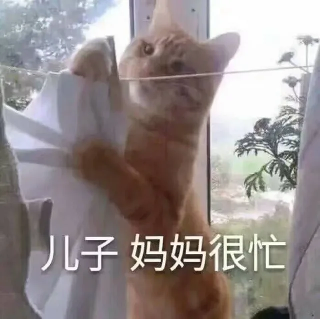儿子妈妈很忙（儿子妈妈很忙）