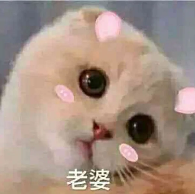 老婆！（老婆！）