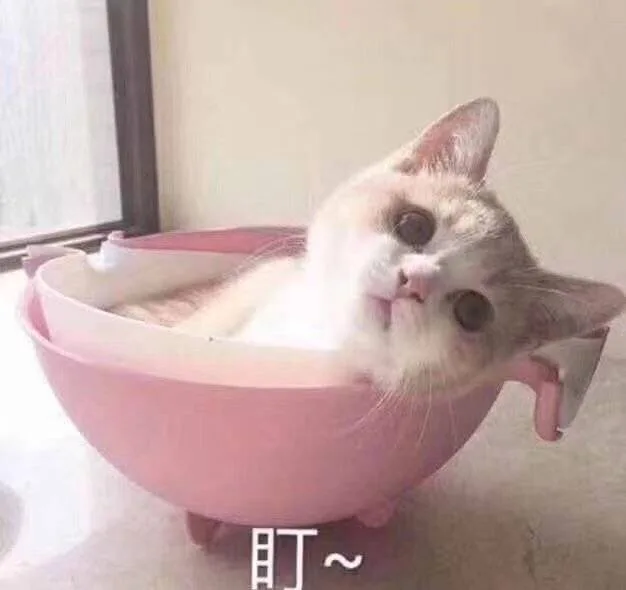 盯（盯）