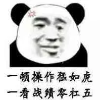 一顿操作猛如虎，一看战绩零杠五（一顿操作猛如虎，一看战绩零杠五）