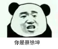 你是蔡徐坤（你是蔡徐坤）