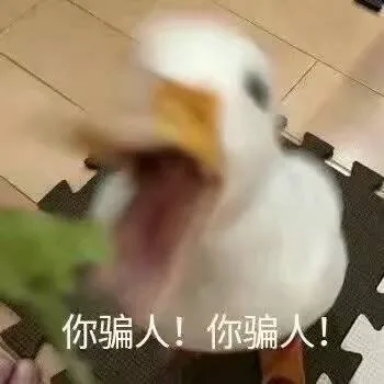 你骗人！你骗人（你骗人！你骗人）