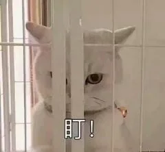 盯！（盯！）