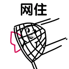 网住（网住）