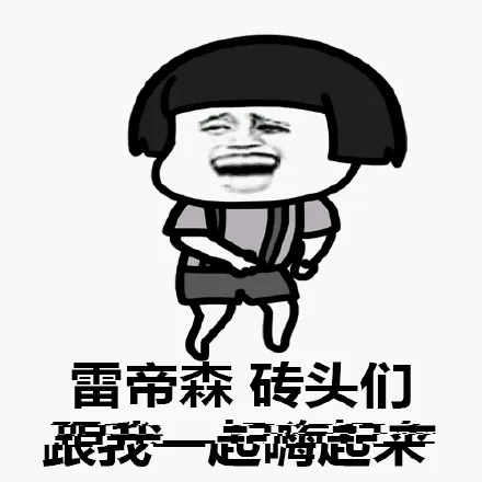 雷帝森砖头们，跟我一起嗨起来（雷帝森砖头们，跟我一起嗨起来）