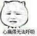 心痛得无法呼吸（心痛得无法呼吸）