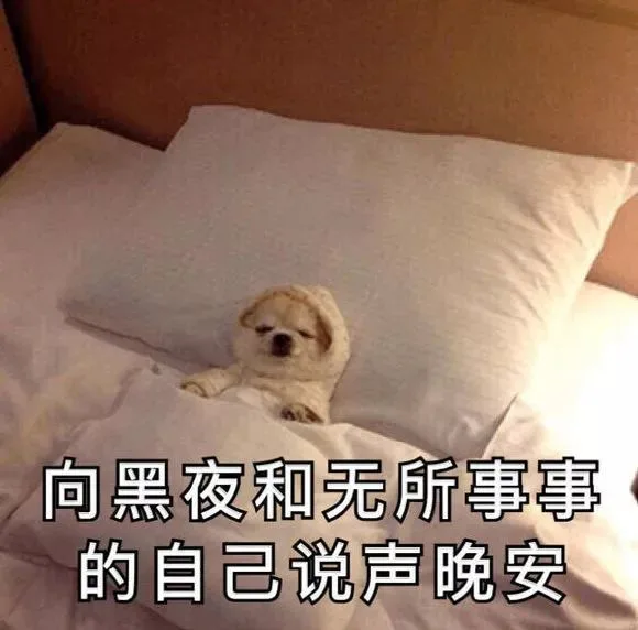 向黑夜和无所事事的自己说声晚安（向黑夜和无所事事的自己说声晚安）