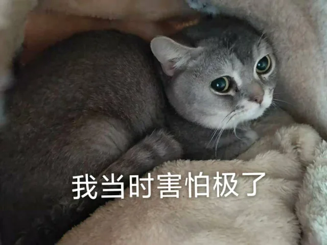 我当时害怕极了（我当时害怕极了）