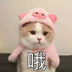 哦（哦）