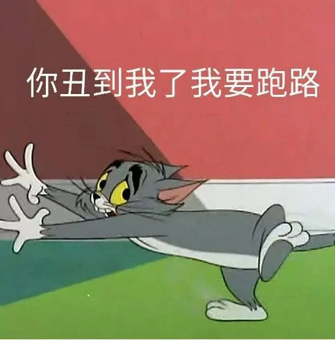 你丑到我了我要跑路（你丑到我了我要跑路）