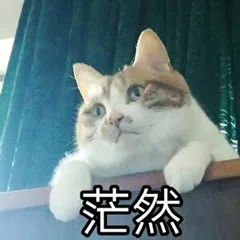 茫然（茫然）