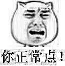 你正常点！（猫脸）（你正常点！（猫脸））