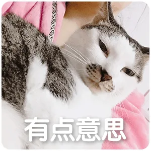 有点意思（有点意思）
