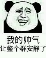 我的帅气让整个群安静了（我的帅气让整个群安静了）