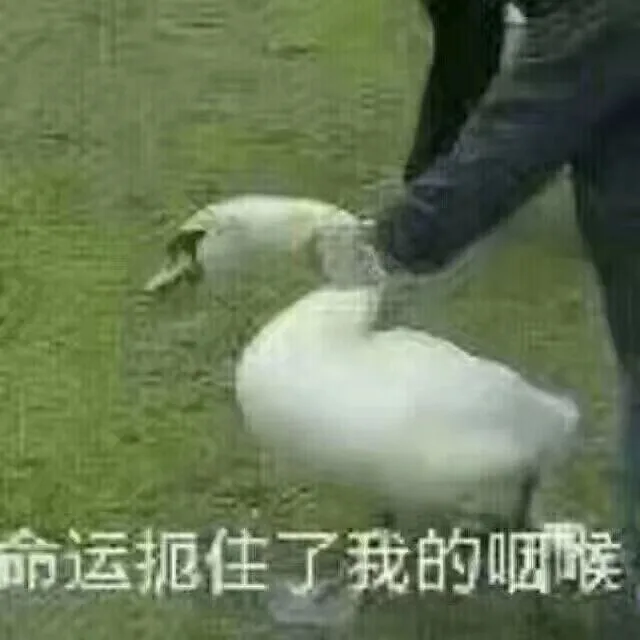 命运扼住了我的咽候（命运扼住了我的咽候）