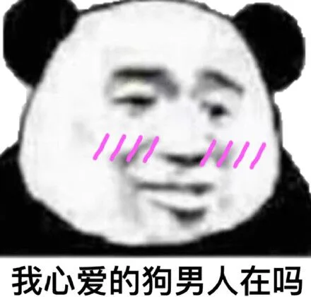 我心爱的狗男人在吗？（我心爱的狗男人在吗？）