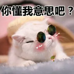 你懂我意思吧？（你懂我意思吧？）