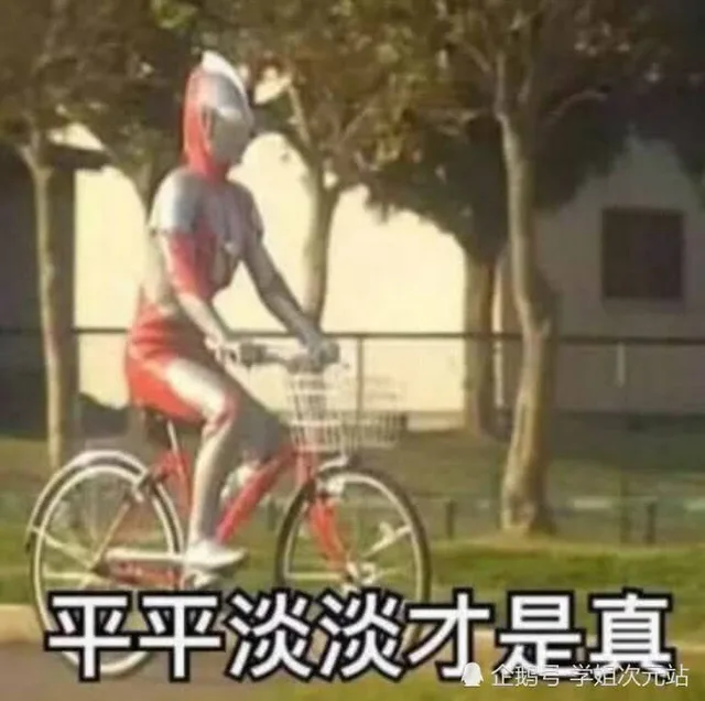 平平淡淡才是真（平平淡淡才是真）