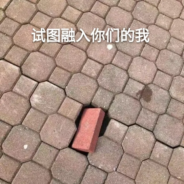 试图融入你们的我（试图融入你们的我）