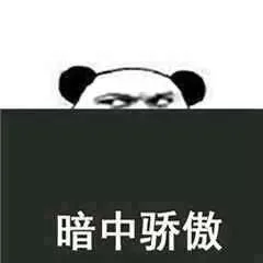 暗中骄傲！（熊猫人）（暗中骄傲！（熊猫人））
