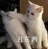 丑东西（丑东西）