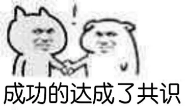 成功的达成了共识！（成功的达成了共识！）