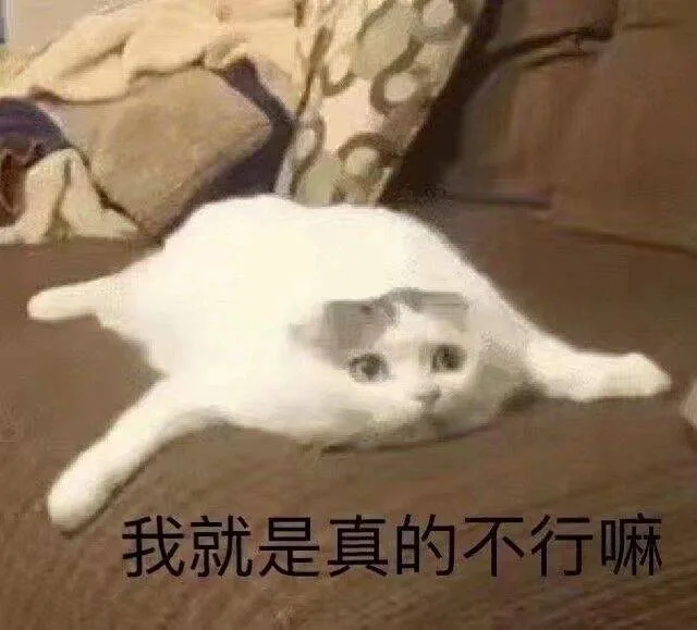 我就是真的不行嘛（我就是真的不行嘛）