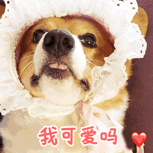 我可爱吗？（我可爱吗？）