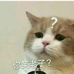 你笑？（你笑？）