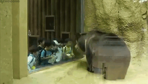 点头（点头）