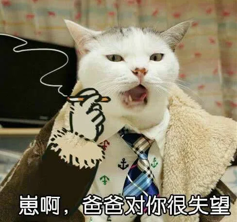 迟」崽啊，爸爸对你很失望（迟」崽啊，爸爸对你很失望）
