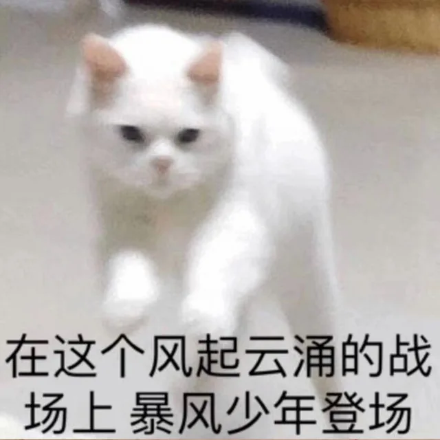 在这个风起云涌的战场上，暴风少年登场（在这个风起云涌的战场上，暴风少年登场）