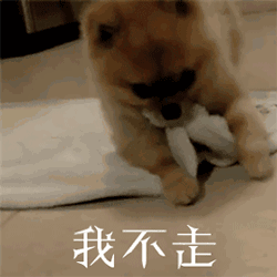 我不走（我不走）