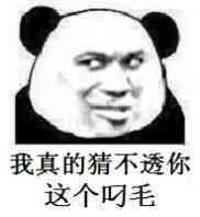 我真的猜不透你这个叼毛 （熊猫人教皇）（我真的猜不透你这个叼毛 （熊猫人教皇））