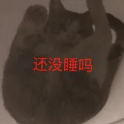 还没睡吗（还没睡吗）