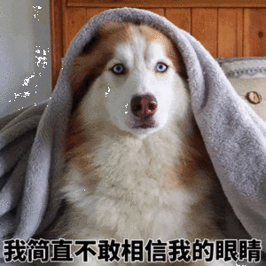 我简直不敢相信我的眼睛（我简直不敢相信我的眼睛）