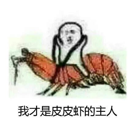 我才是皮皮虾的主人（我才是皮皮虾的主人）