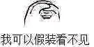 我可以假装看不见（我可以假装看不见）